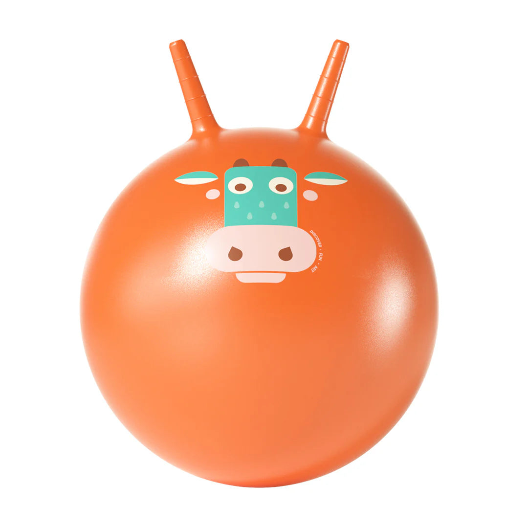 Mideer Sensory Training Bounce Ball