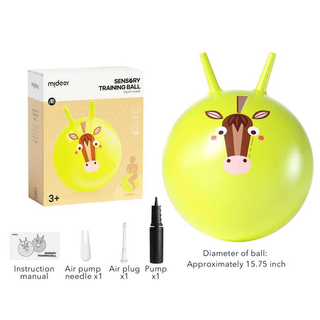 Mideer Sensory Training Bounce Ball