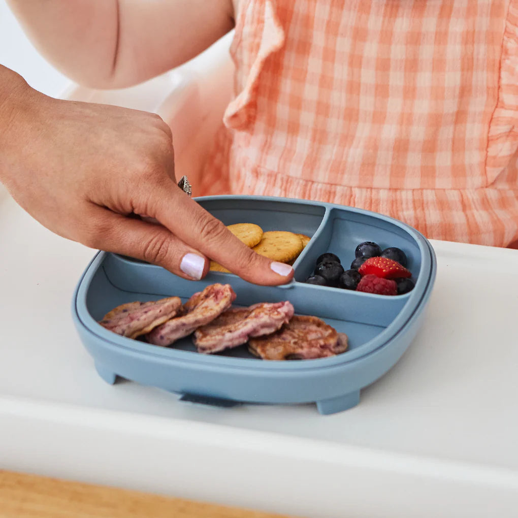 B. Box 2-in-1 Suction Plate