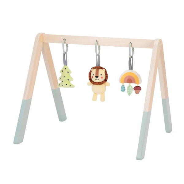 Tooky Toy Wooden Baby Gym