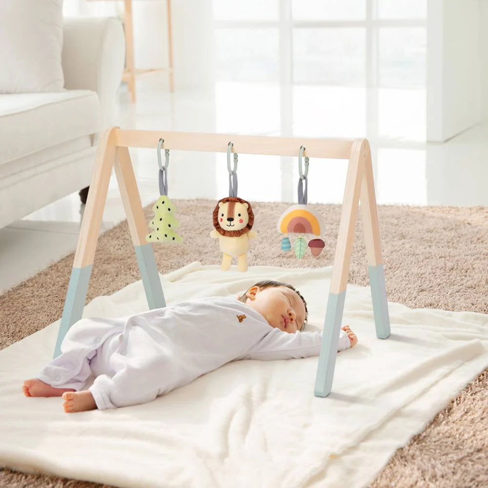 Tooky Toy Wooden Baby Gym